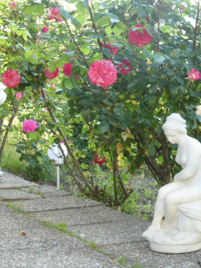 Villa Rauter Зеебоден Екстериор снимка